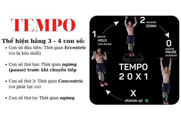 tempo