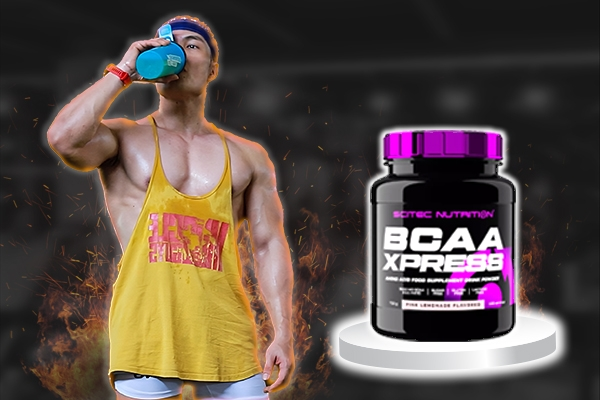 Gain muscle and lose fat successfully with a gym schedule for beginners